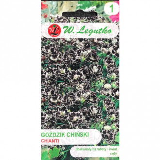 Карамфил китайски Chianti Legutko изображение 15