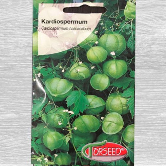 Kardiospermum zielone interface.image 1