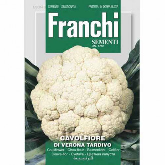 Карфиол Di Verona Tardivo изображение 13