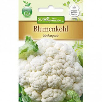 Карфиол Neckarperle изображение 8