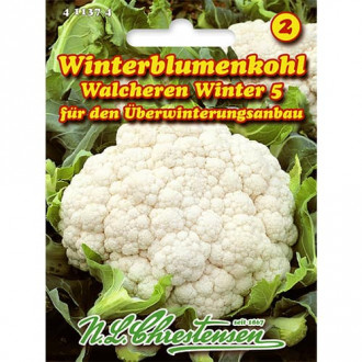 Карфиол Walcheren Winter 5 изображение 5