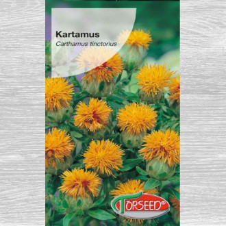 Kartamus (Krokosz barwierski) pomarańczowy interface.image 1