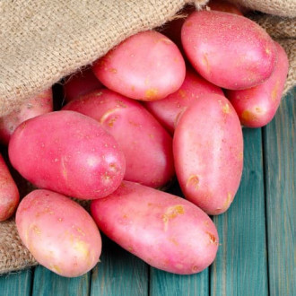 Картофи Red Fantasy изображение 8