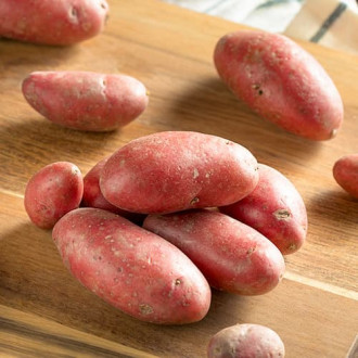 Картофи Red Sonia изображение 6