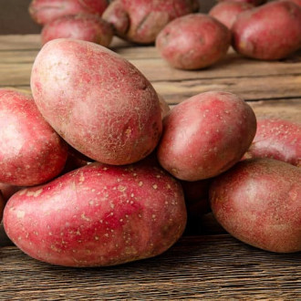 Картофи Sunred изображение 7