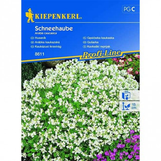 Кавказки арабис Kiepenkerl изображение 3