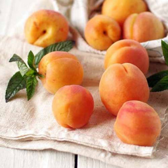 Кайсия Tahiti изображение 9