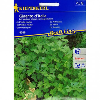 Къдрав магданоз Gigante d'Italia Kiepenkerl изображение 4