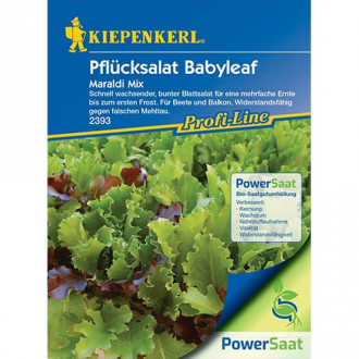 Къдрава маруля Babyleaf Maraldi Mix изображение 4
