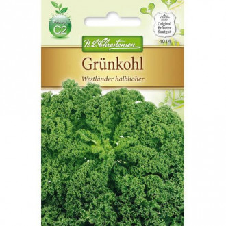 Къдраво зеле Westlander halbhoher изображение 3