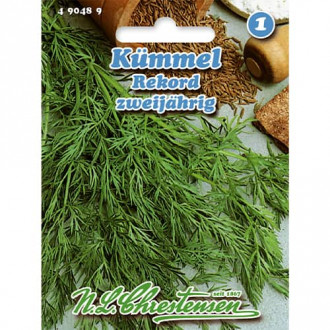 Ким Rekord изображение 1