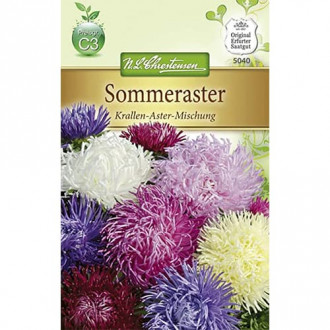 Китайска астра Krallen-Aster, микс изображение 14