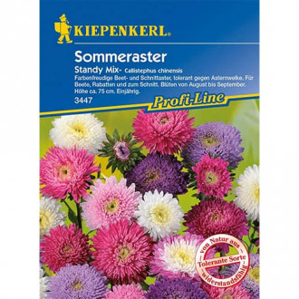 Китайска астра Standy, смес изображение 7