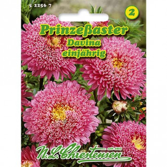 Китайска астра Davina изображение 5