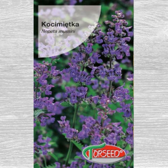 Kocimiętka (Nepeta) niebieska interface.image 2