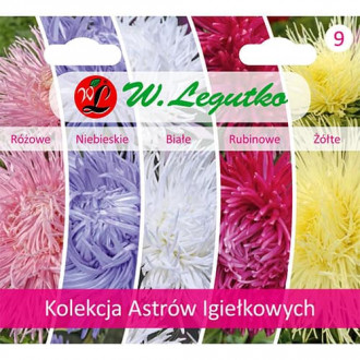Kolekcja Astrów igiełkowych, 5 odmian interface.image 14