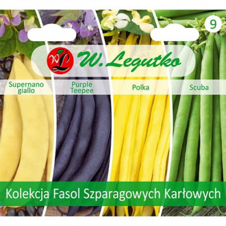 Kolekcja fasol szparagowych karłowych, 4 odmiany interface.image 13