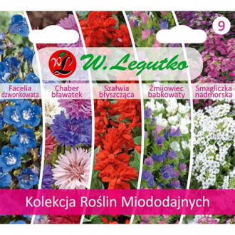 Kolekcja Roślin Miododajnych, 5 odmian interface.image 5