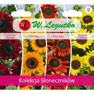 Kolekcja Słoneczników, 4 odmiany interface.image 8