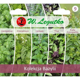 Колекция босилек, 5 сорта изображение 9