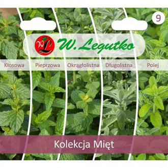 Колекция мента, 5 сорта изображение 2