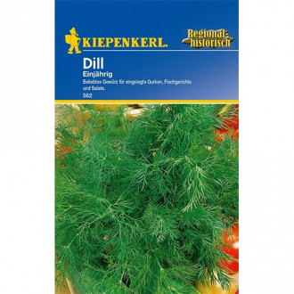 Копър едногодишен изображение 4