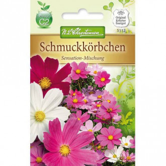 Космос Sensation, смес изображение 1