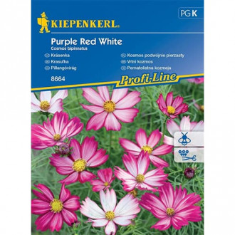 Космос Purple Red White изображение 4