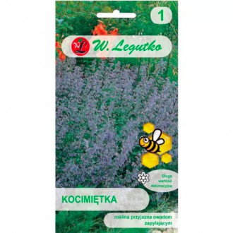 Котешка мента синьо-лилава Legutko изображение 6