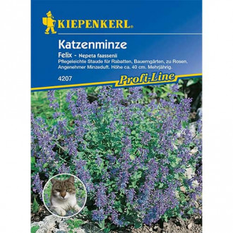 Котешка трева Felix изображение 2