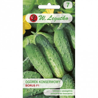 Краставица Borus F1 изображение 6