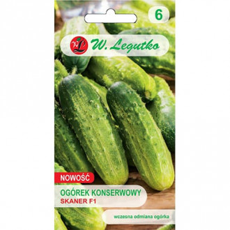 Краставица Skaner F1 изображение 2