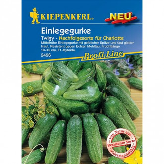 Краставица за консервиране Twigy, F1 изображение 9
