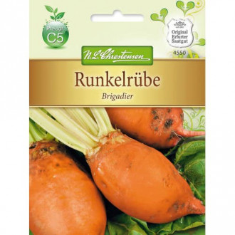 Кръмно цвекло Brigadier изображение 14