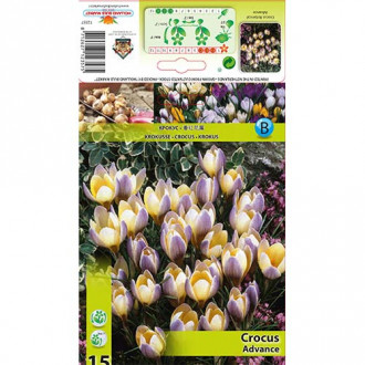 Krokus botaniczny Advance interface.image 15
