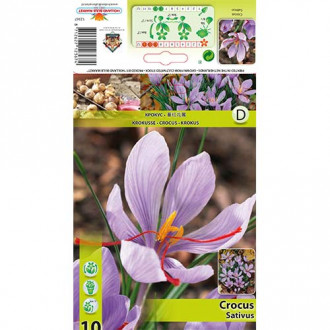Krokus Sativus interface.image 9