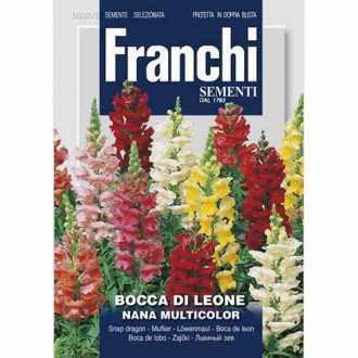 Кученца ниски, смес от цветове изображение 13