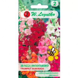 Кученца ниски Trumpet Serenade Legutko изображение 10