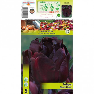 Лале Black Hero изображение 18