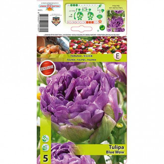 Лале Blue Wow изображение 6