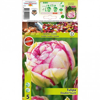 Лале Double Touch изображение 8