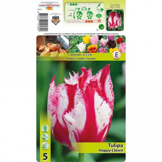 Лале Happy Clown изображение 18