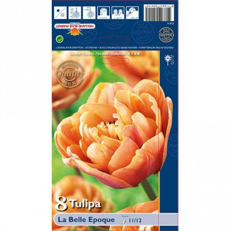 Лале La Belle Epoque изображение 16