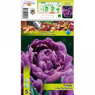 Лале Lilac Perfection изображение 10