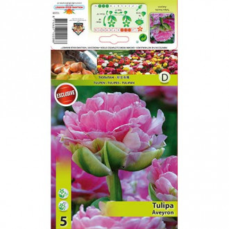 Lalele Aveyron imagine 2