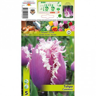 Lalele Cummins imagine 15