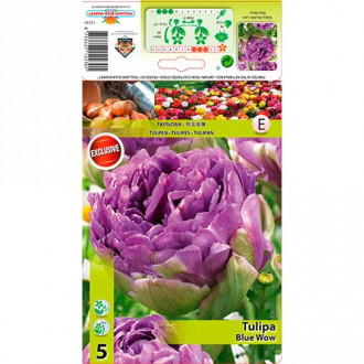 Lalele Blue Wow imagine 8