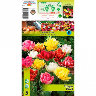 Lalele double mix multicolor imagine 12