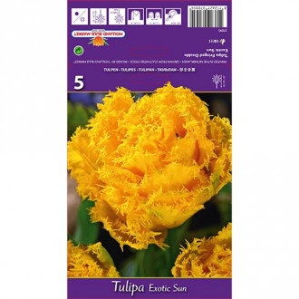 Lalele Exotic Sun imagine 1