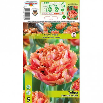 Lalele Sensual Touch imagine 8